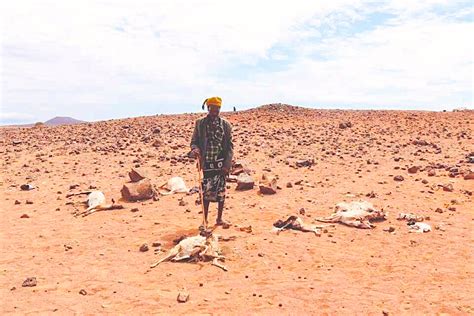 Drought In Kenya