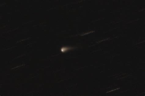 Cometa do Século poderá ser visto no Brasil na próxima semana