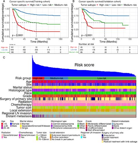 Overview Of Risk Stratification System According To Risk Points