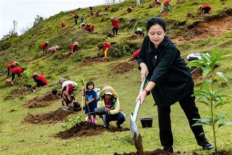 Foto Puan Maharani Sedang Menanam Bibit Mendadak Jadi Sorotan Ada Apa