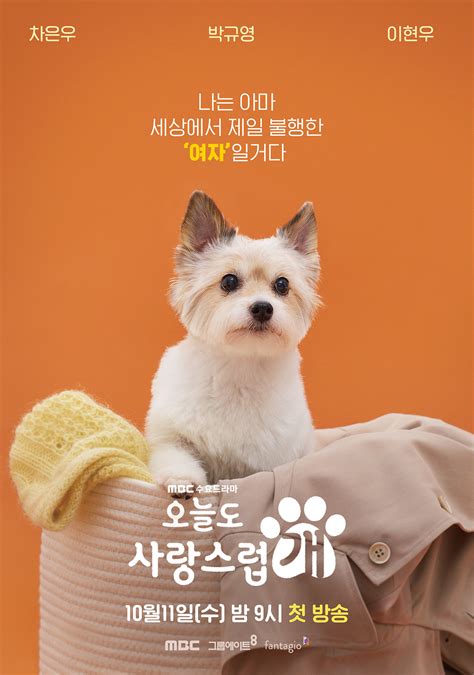 Drama Baru “a Good Day To Be A Dog” Yang Dibintangi Park Gyu Young Dan