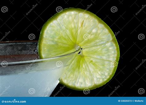 Lime garnish stock image. Image of round, lime, drink - 33020373