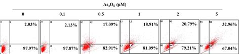 Tetraarsenic Hexoxide Induces G2m Arrest Apoptosis And Autophagy Via