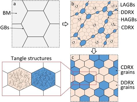 Schematic Illustration Of Microstructural Evolution During FSW Of 63B