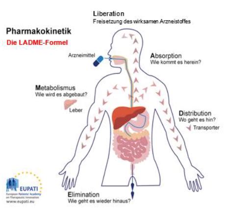 9 Pharma Flashcards Quizlet