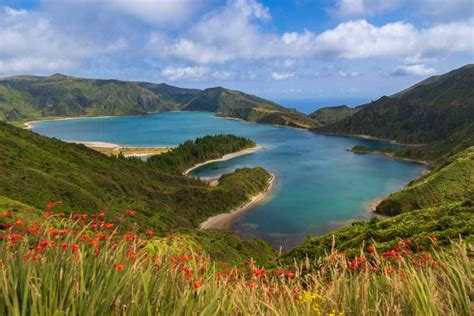 Ponta Delgada: Whales and Volcanoes Tour with Lunch | GetYourGuide