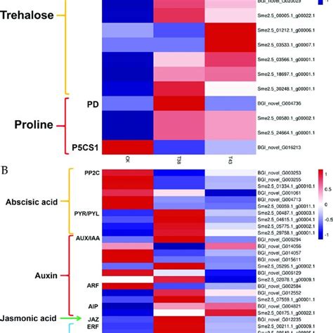 Heat Map Representation Of The Expression Patterns Of Genes Related To