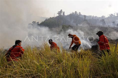 Pemadaman Kebakaran Kawasan Savana Gunung Bromo Antara Foto