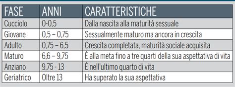 Come si calcola l età del cane in anni umani Amici di Casa