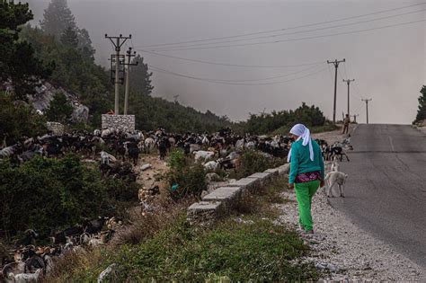 Agriculture Albania Landscape Free Photo On Pixabay Pixabay