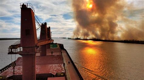 Se Unificaron 12 Causas Por Los Incendios En El Delta Del Río Paraná