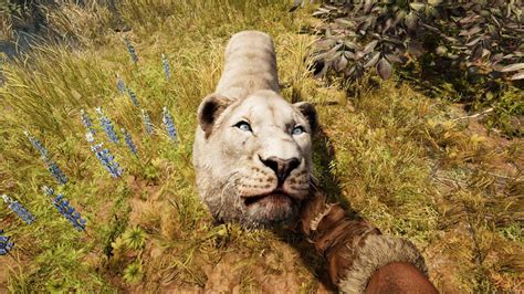 Far Cry Primal Gameplay Full Highlights Youtube