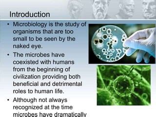 1 History Of Microbiology PPT