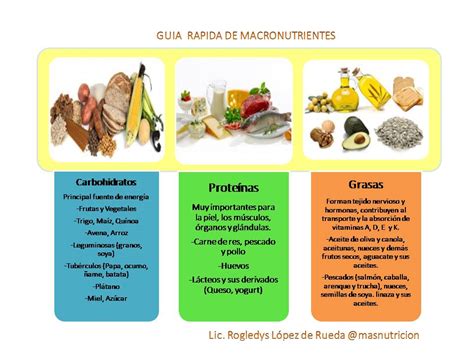 Micronutrientes Y Macronutrientes