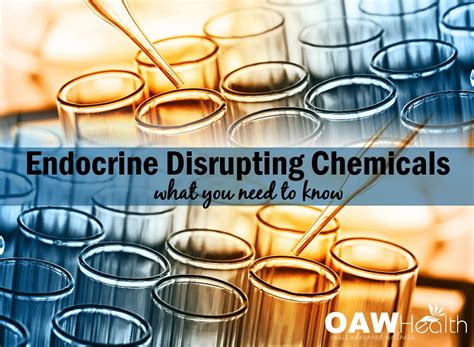 Endocrine Disrupting Chemicals What You Need To Know Exhibit Health