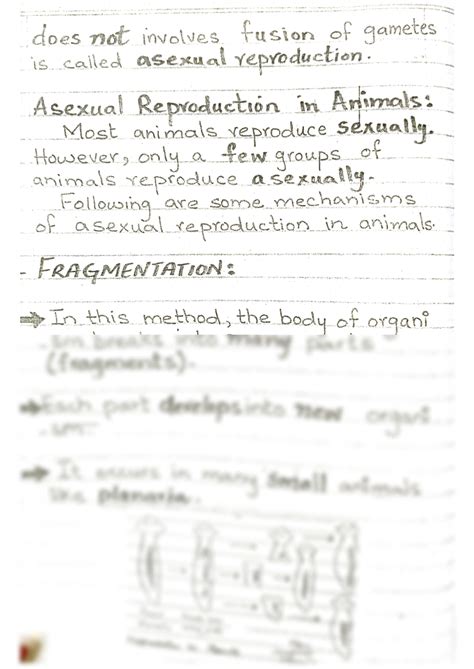 Solution Asexual Reproduction In Animals Studypool