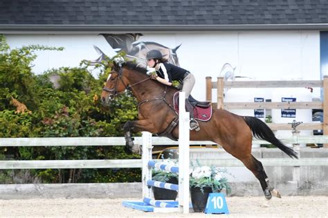 25 Tips to Take Your Show Jumping from Average to Awesome - Horse Rookie