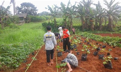 Kegiatan Menanam Pohon Pesantren Ruhama Kemang