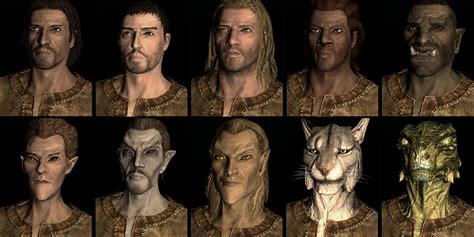 The Elder Scrolls The Races Of Tamriel