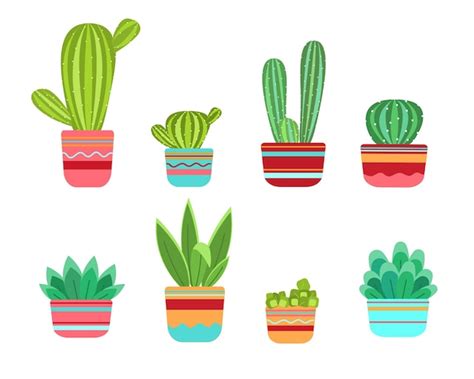 Conjunto De Exóticas Plantas De Cactus En Macetas De Cerámica Vector