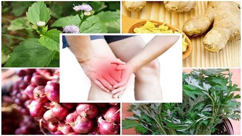 Home Remedies Learn To Make A Natural And Very Effective Anti