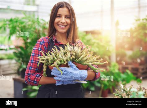 Pianta Da Giardino In Vaso Immagini E Fotos Stock Alamy