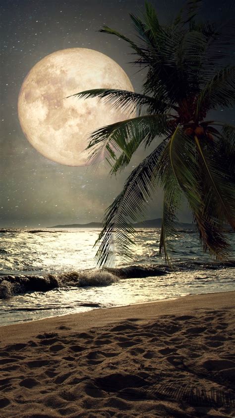 Night Beach Wallpapers 76 Pictures Wallpaperset