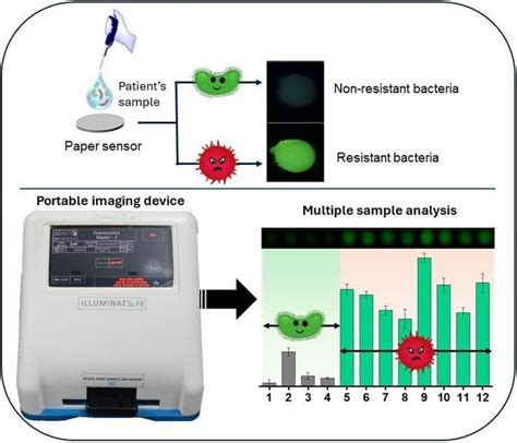 Rapid Detection Of Antibiotic Resistant Bacteria