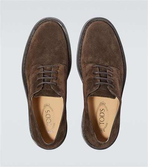 Suede Derby Shoes In Brown Tods Mytheresa