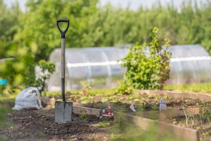 Garden Spade Tools: What Do You Use A Garden Spade For | Gardening Know How