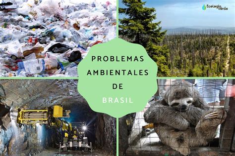 Problemas Ambientales En Brasil Desc Brelos Aqu