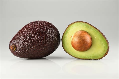 Hass Avocado Wikipedia