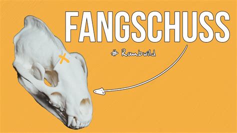 Freunde Der Jagd Folge 23 Fangschuss I Fallenjagd YouTube