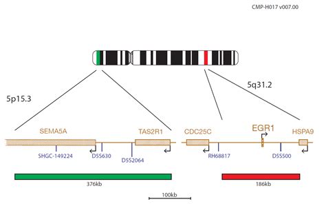 CytoCell Del 5q Deletion FISH Probe OGT