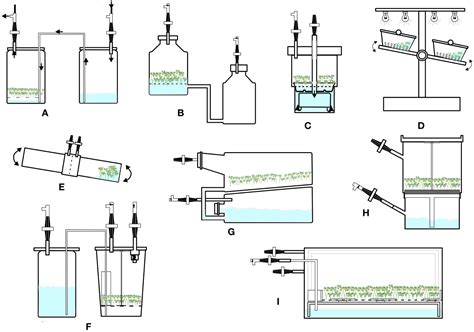 Frontiers Bioreactor Systems For Micropropagation Of Plants Present