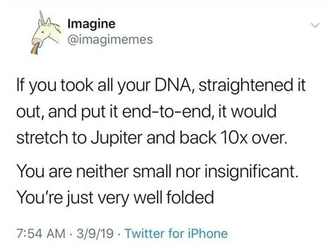 folded meme  tlaine memedroid