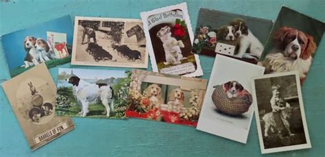 Vintage Dog Postcards - Etsy