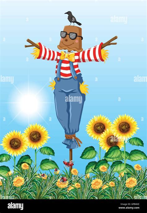 Scarecrow Standing In Sunflower Field Illustration Stock Vector Image