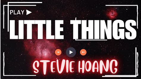 Little Things By Stevie Hoang Lyrics Littlethingsinlife Youtube