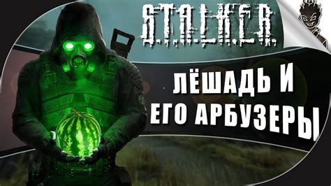 ЛЁШАДЬ И АРБУЗЕРЫ S.T.A.L.K.E.R .Тени Чернобыля Прохождение от Айну ...
