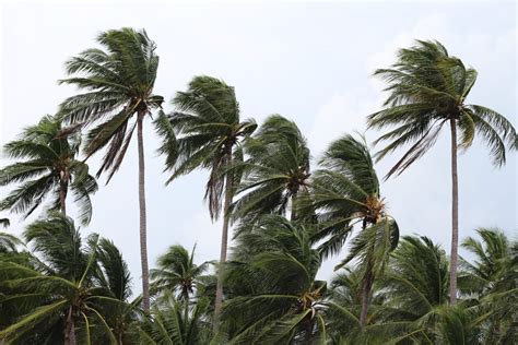 Hurricane Milton Is Growing Stronger As It Blows Toward Floridas Tampa Bay Region Klif Am