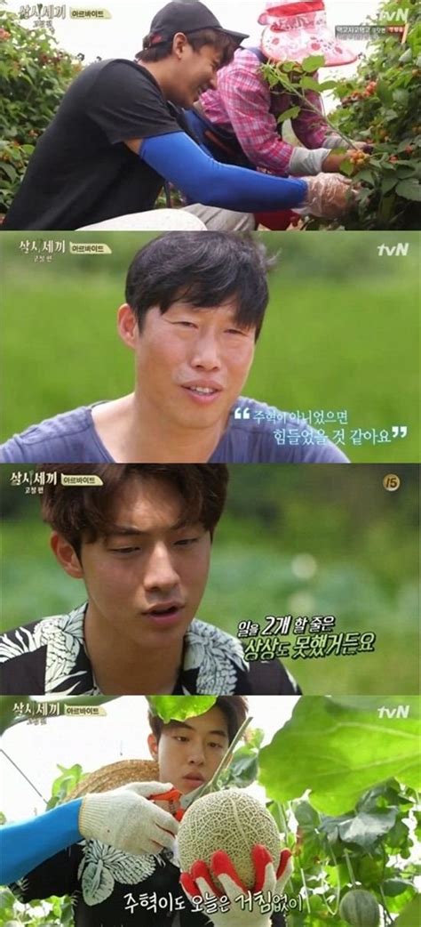 삼시세끼 고창편 아르바이트 총 수익은 네이트 연예