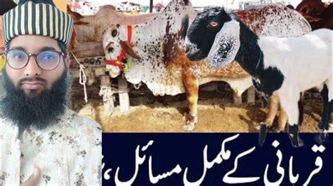 2023 Ki Qurbani Se Pehle Aek Bar Zarur Suno Qurbani Ke Mokaal Masail