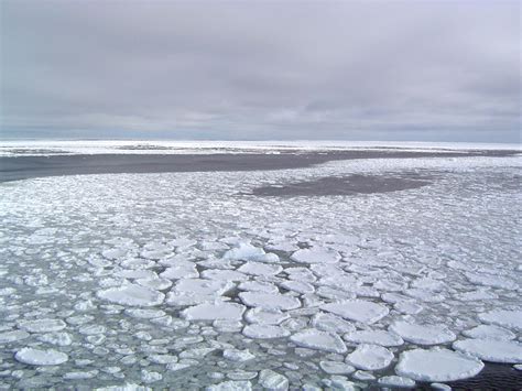 Length of sea ice melt has increased every decade for over 30+ years.