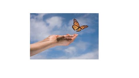 Guthrie Hospice To Host Annual Butterfly Release Guthrie