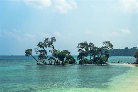 Cais Da Ilha Havelock Um Dos Principais Destinos Turísticos Nas Ilhas Andaman E Nicobar índia