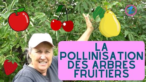 La Pollinisation Les Arbres Fruitiers Et Les Oiseaux Capsule