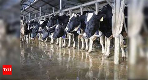 Dudhsagar Dairy to get registered as multi-state co-op society | Rajkot ...