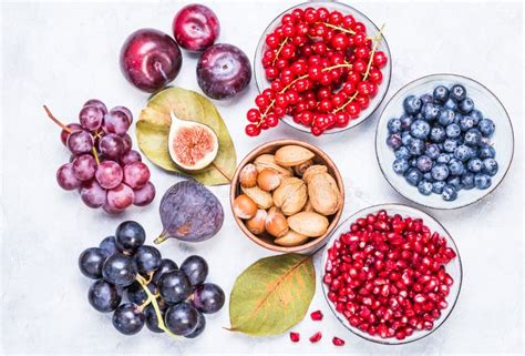 Frutos E Bagas No Fim Do Jardim Acima Imagem De Stock Imagem De Verde