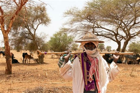 Au Burkina Faso Le Pam Et Lunicef Sefforcent De R Duire La